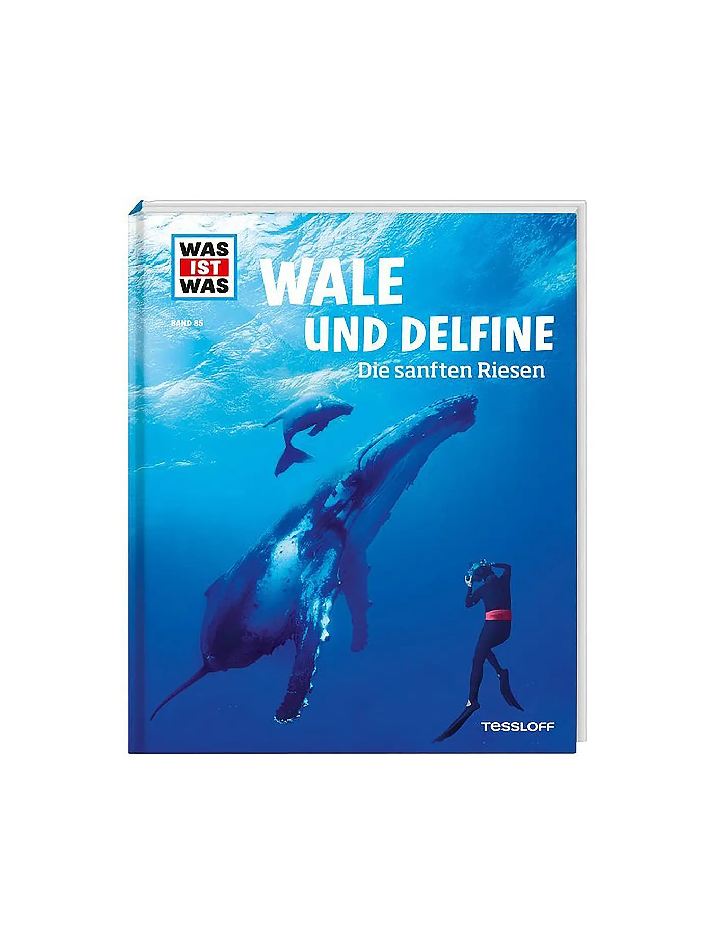 TESSLOFF VERLAG | Buch - Was ist Was - Wale und Delfine - Die sanften Riesen (85) | 